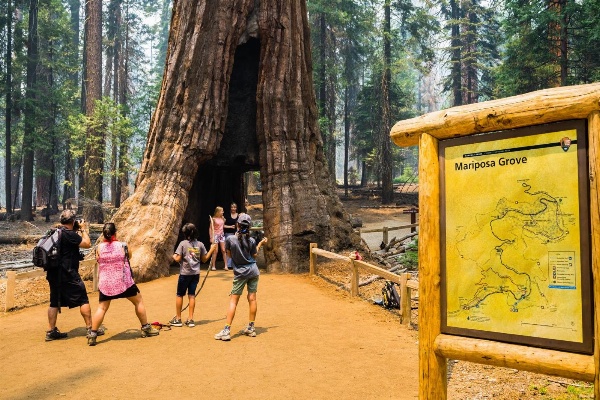 The Yosemite Inn image 3